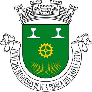 logo_vfnaves_big